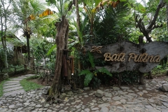 Bali Pulina, coffee plantation, Bali