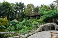 Bali Pulina, coffee plantation, Bali