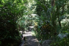 Les Waterfalls, Bali
