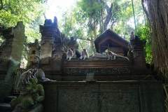 Ubud, Monkey Forest, Bali