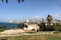 Tel Aviv skyline from Jaffa's Abrasha Park