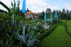 Nur Guest House, Ubud, Bali