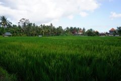 Nur Guest House, Ubud, Bali